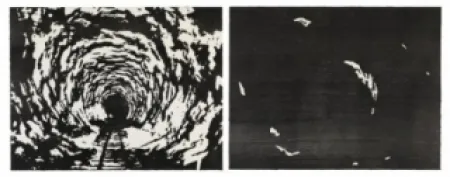 木刻 Putrih - Reprojection II  (IIa et IIb)