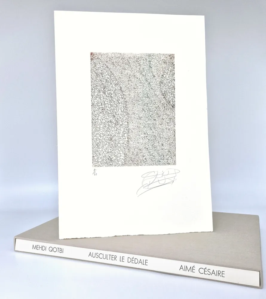 插图书 Qotbi - Ausculter le dédale