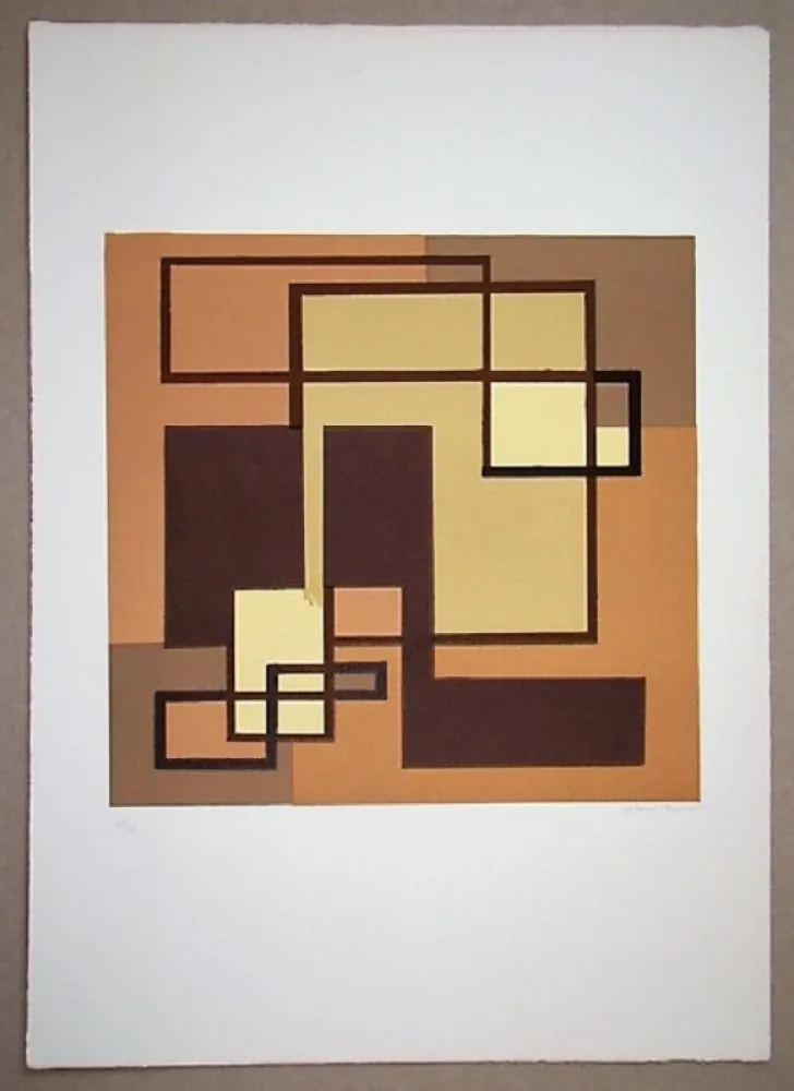 石版画 Radice - Compositione astratta marrone