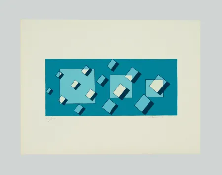 丝网印刷 Radice - Donne dannate