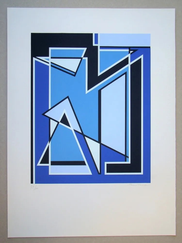 丝网印刷 Radice - Senza Titolo