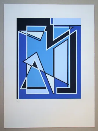 丝网印刷 Radice - Senza Titolo