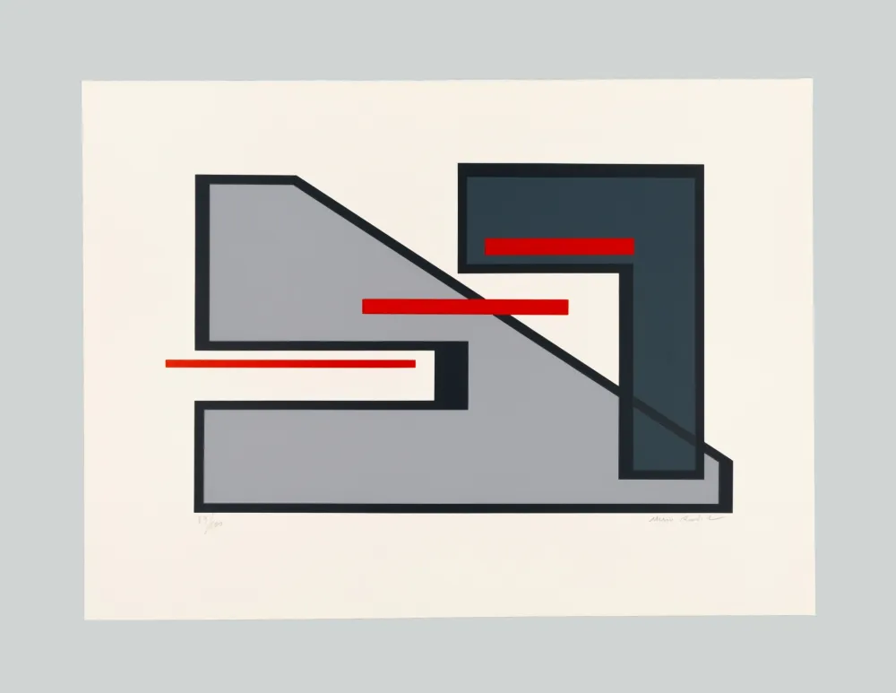 丝网印刷 Radice - Senza titolo