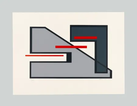 丝网印刷 Radice - Senza titolo