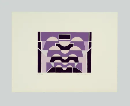 丝网印刷 Radice - Tutta intera