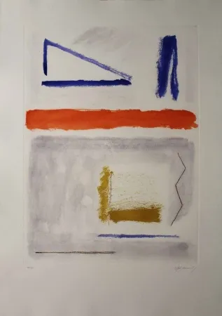 蚀刻飞尘法 Ràfols Casamada - Camí de primavera 1