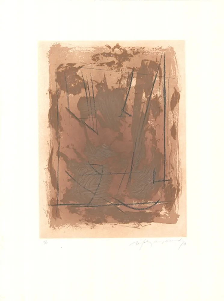 蚀刻飞尘法 Ràfols Casamada - Circ-6