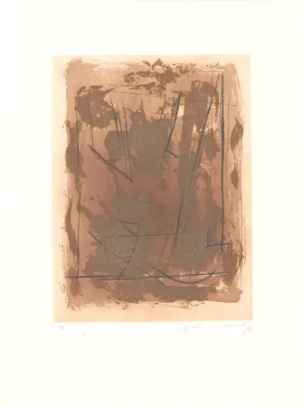 蚀刻飞尘法 Ràfols Casamada - Circ-6