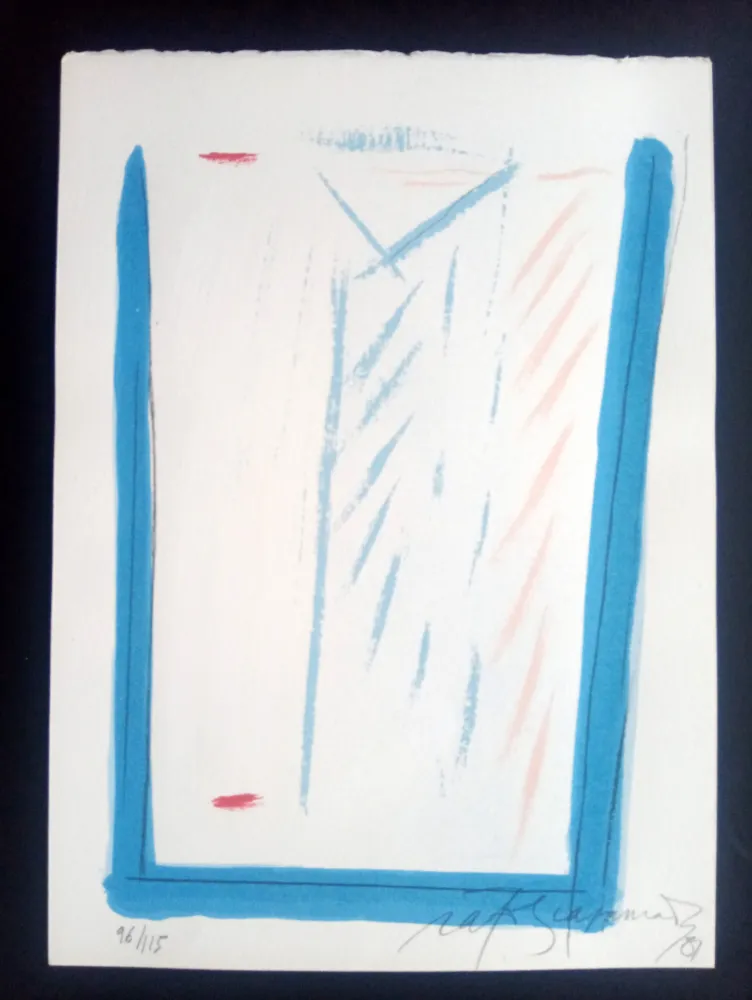 丝网印刷 Ràfols Casamada - Episodi VI