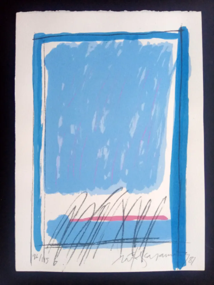 丝网印刷 Ràfols Casamada - Episodi VIII