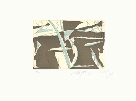 蚀刻飞尘法 Ràfols Casamada - Estiu-4