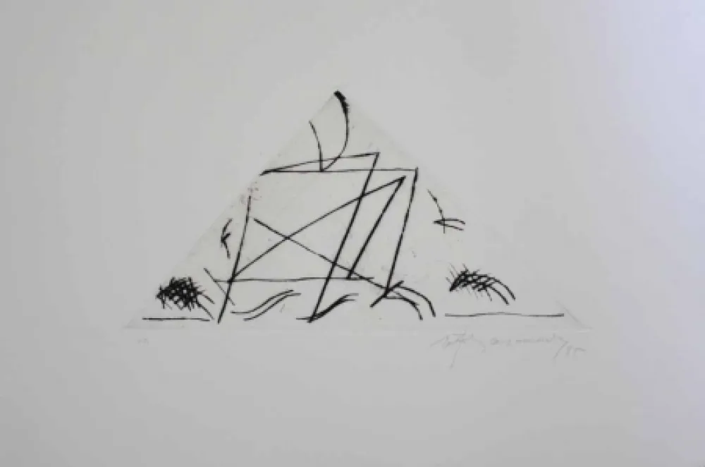 版画 Ràfols Casamada - Jardí 5