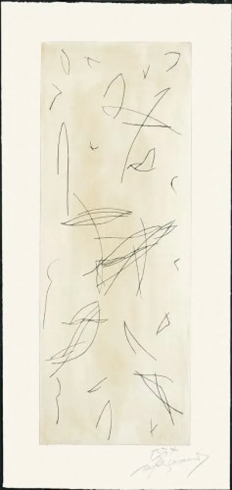 版画 Ràfols Casamada - Ocells-1