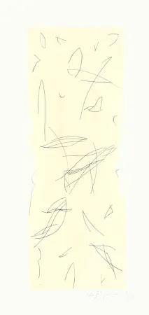 版画 Ràfols Casamada - Ocells-1