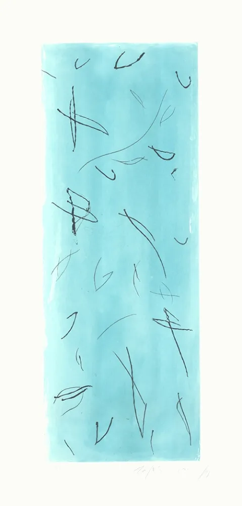 版画 Ràfols Casamada - Ocells-2