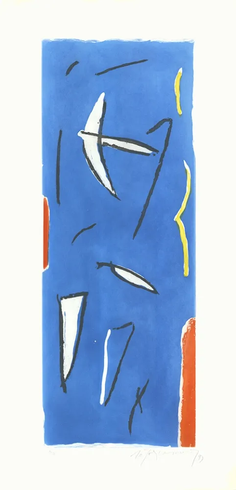 蚀刻飞尘法 Ràfols Casamada - Ocells-3