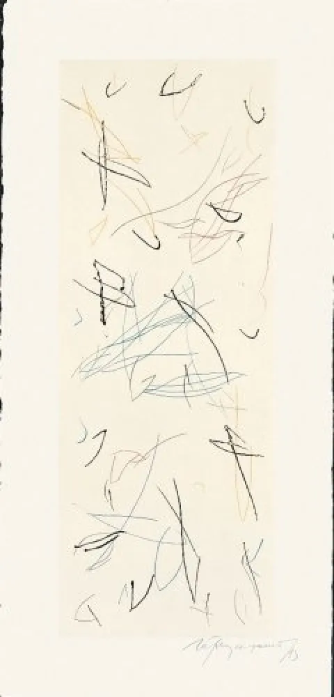 版画 Ràfols Casamada - Ocells-Variant 1-2