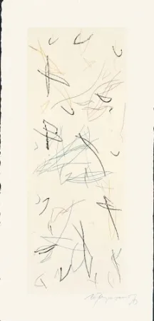 版画 Ràfols Casamada - Ocells-Variant 1-2