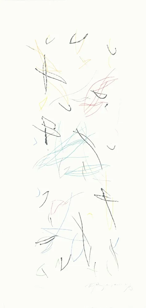 版画 Ràfols Casamada - Ocells variant 1-2