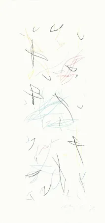 版画 Ràfols Casamada - Ocells variant 1-2