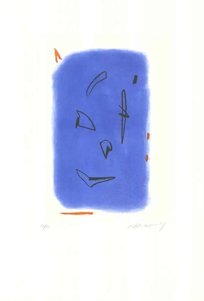 蚀刻飞尘法 Ràfols Casamada - Primavera-1