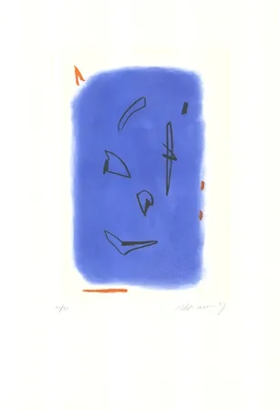 蚀刻飞尘法 Ràfols Casamada - Primavera-1