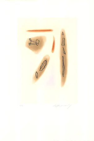 蚀刻飞尘法 Ràfols Casamada - Primavera-3