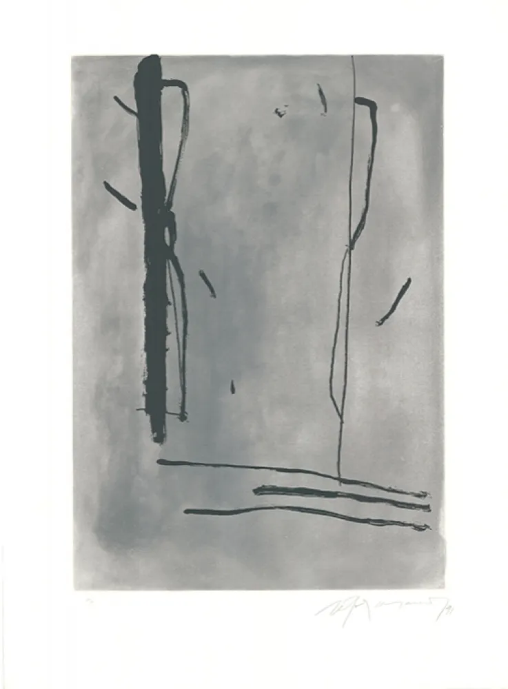 蚀刻飞尘法 Ràfols Casamada - Signe i Color-1