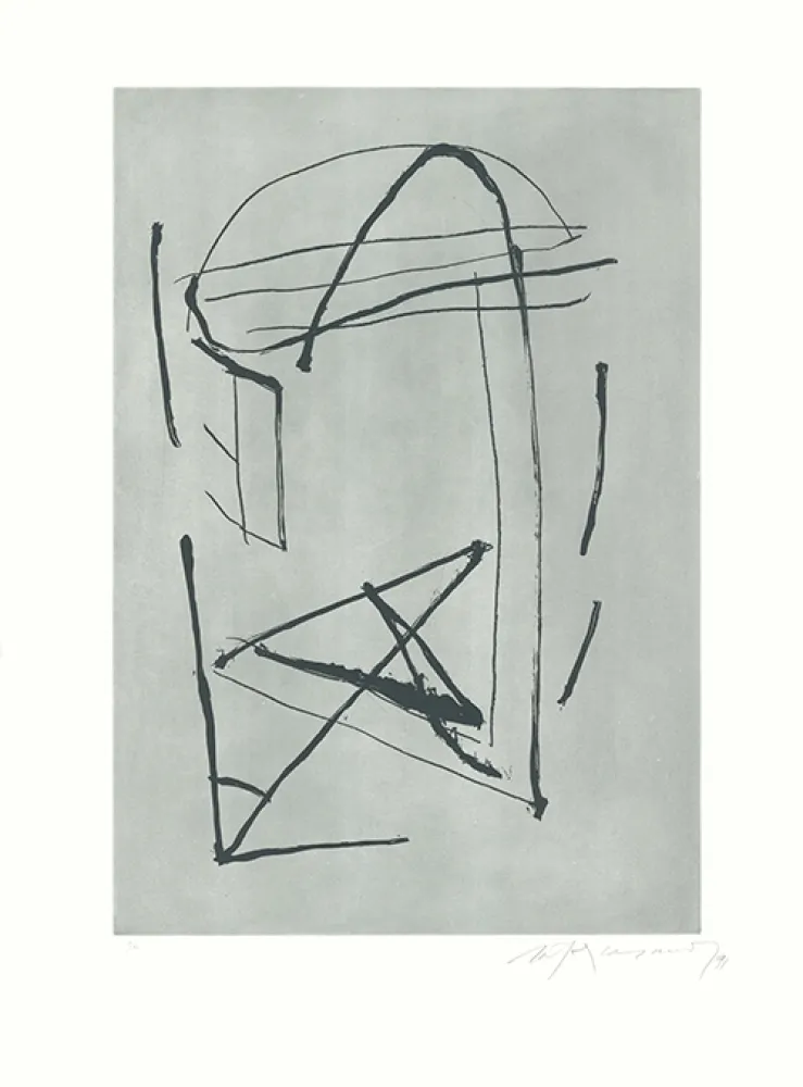 蚀刻飞尘法 Ràfols Casamada - Signe i color-2