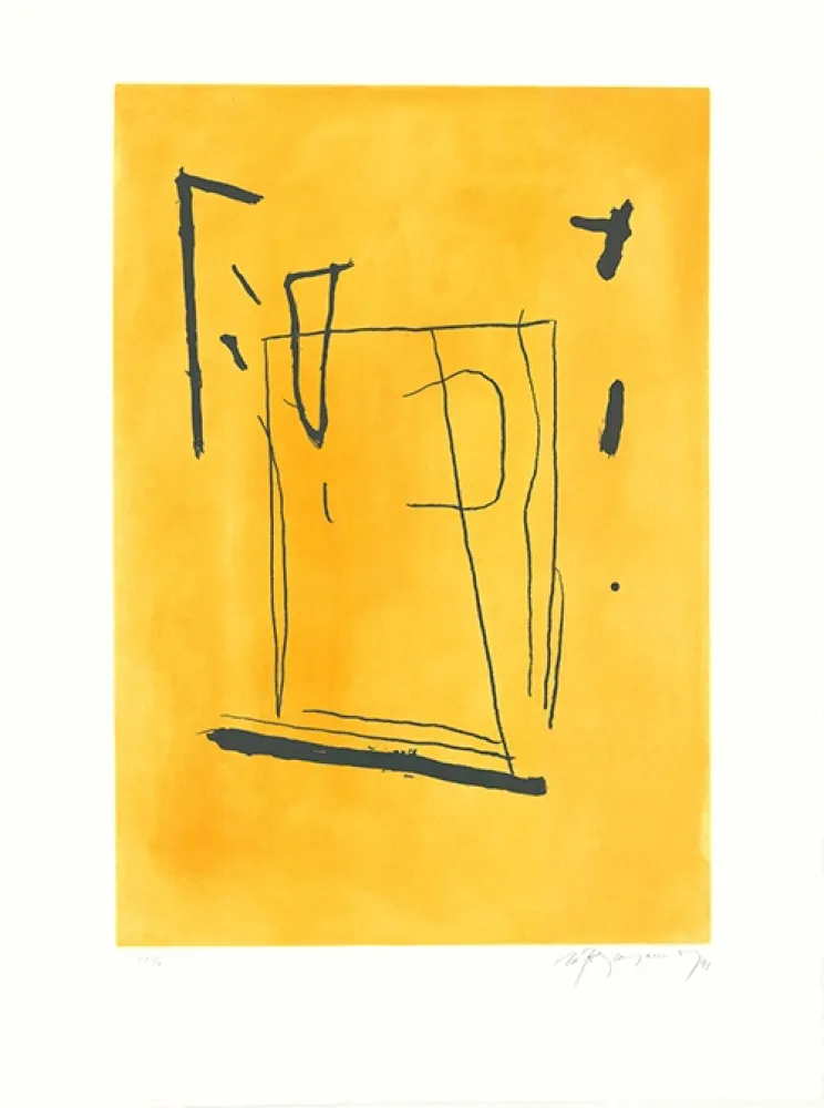 蚀刻飞尘法 Ràfols Casamada - Signe i color 3