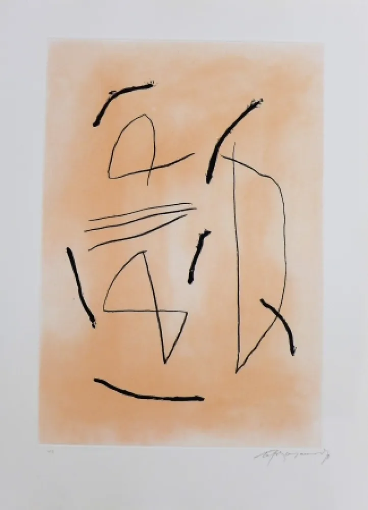 版画 Ràfols Casamada - Signe i color-4 