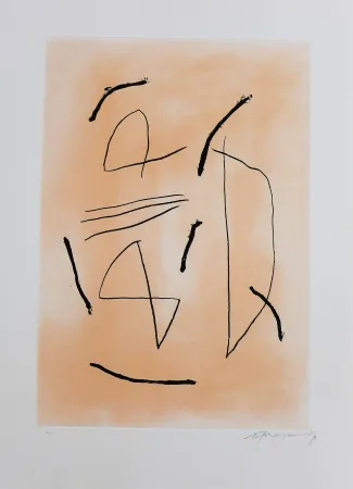 版画 Ràfols Casamada - Signe i color-4 