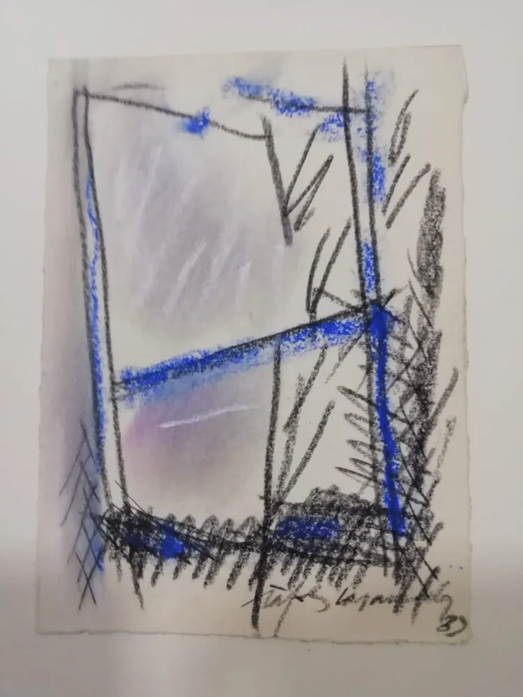 无技术 Ràfols Casamada - S/T