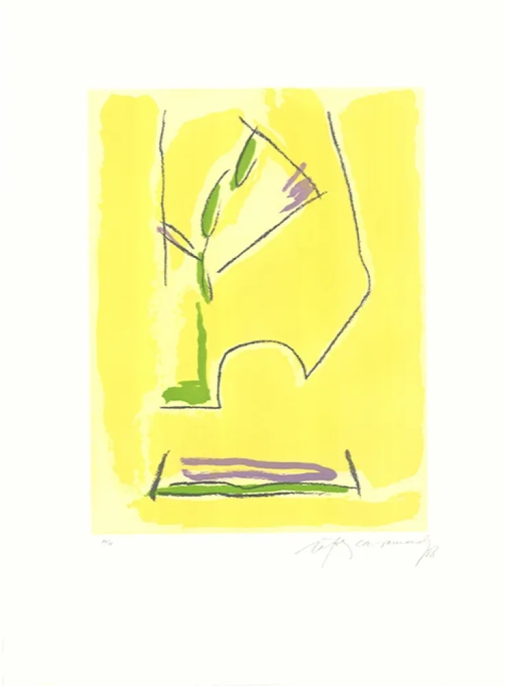 蚀刻飞尘法 Ràfols Casamada - Terrasses-1