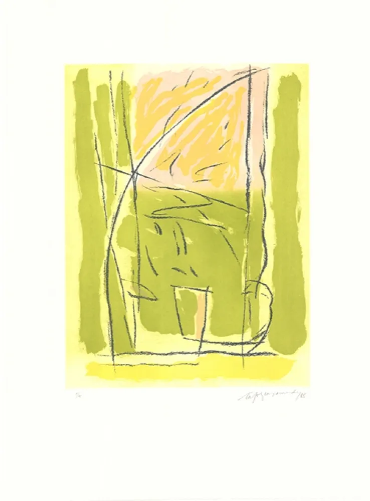 蚀刻飞尘法 Ràfols Casamada - Terrasses-3