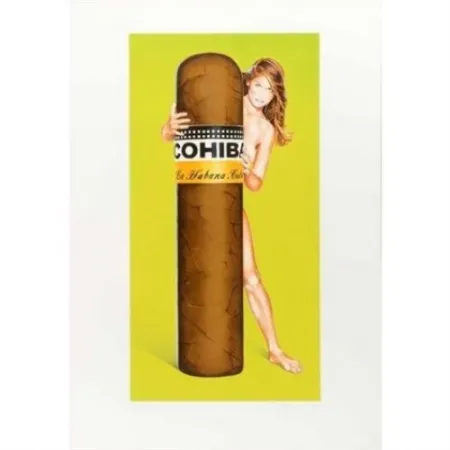 复数作品 Ramos - Hav a Havanna 2