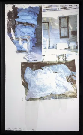 丝网印刷 Rauschenberg - Daydream (Speculations)