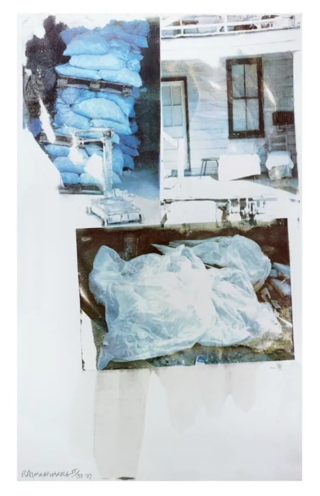 丝网印刷 Rauschenberg - Daydream (Speculations)