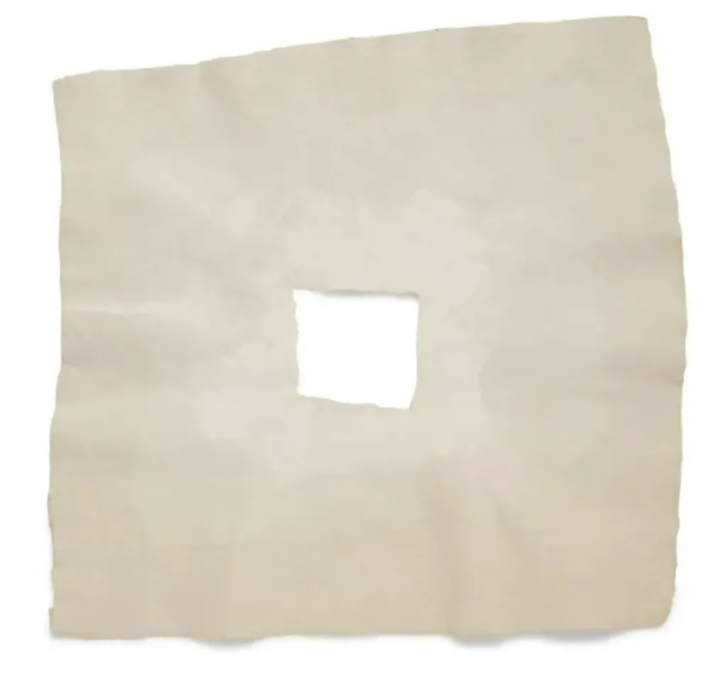 复数作品 Rauschenberg - Page III