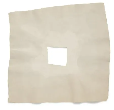 复数作品 Rauschenberg - Page III