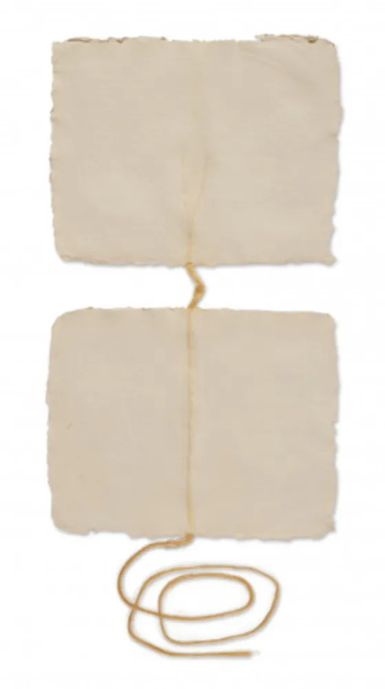 复数作品 Rauschenberg - Page IV