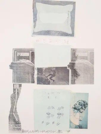 胶版印刷 Rauschenberg - Two Reasons Birds Sing, from Suite of Nine Prints
