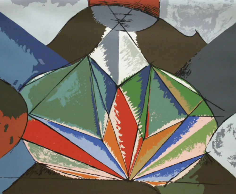 复数作品 Ray - Cactus Diamond