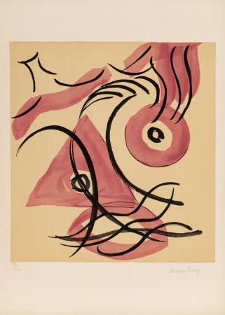 石版画 Ray - De l'origine des espèces par voie de sélection irrationnelle (#C), 1971 - Hand-signed!