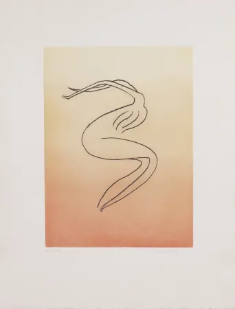 飞尘腐蚀法 Ray - Man Ray (1890–1976) - Anatoms without Rime or Reason for Every Season - Aquatint and soft ground on paper - 1970