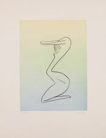 飞尘腐蚀法 Ray - Man Ray (1890–1976) - Anatoms without Rime or Reason for Every Season - Aquatint and soft ground on paper - 1970