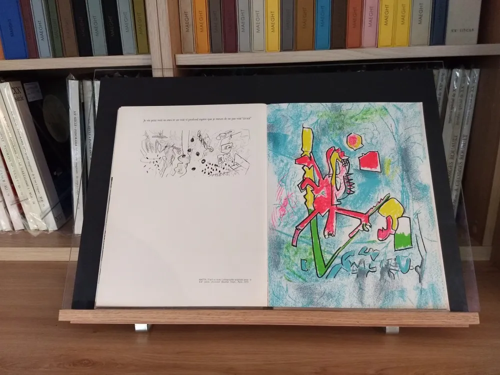 插图书 Ray - No 45