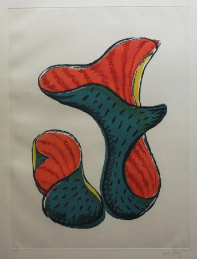 蚀刻飞尘法 Ray - Transfiguration d'un cactus