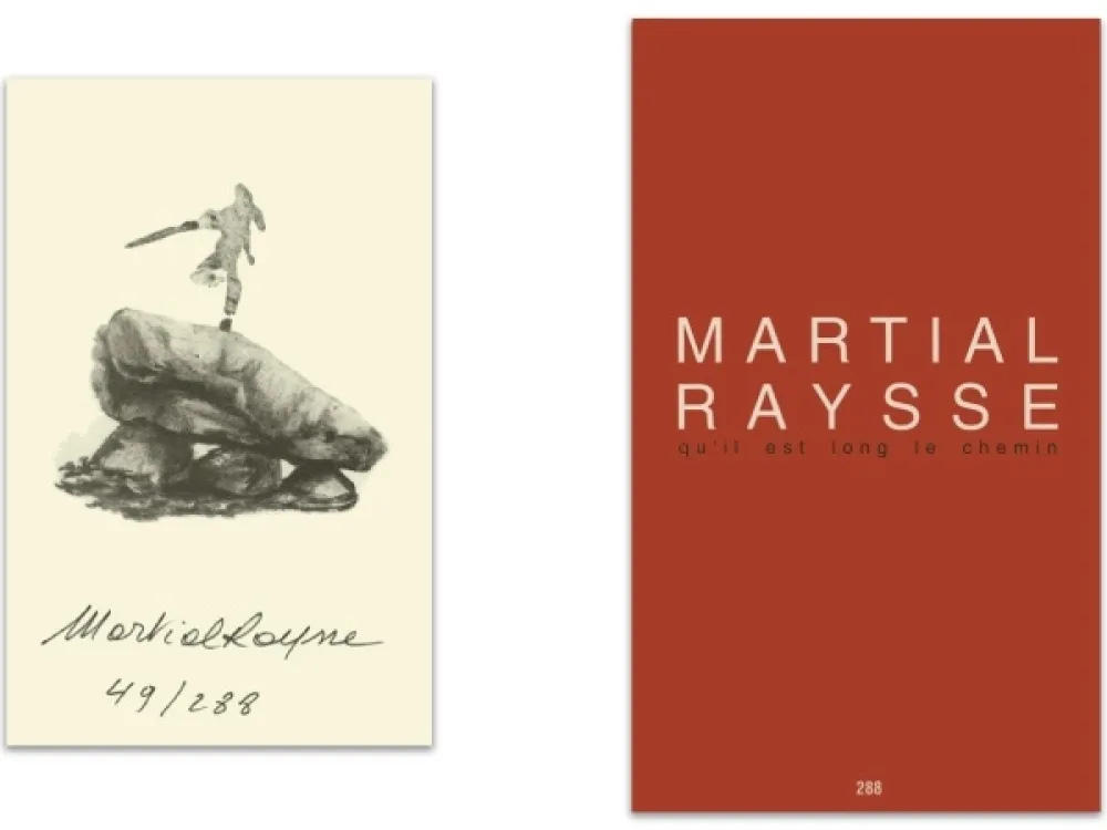 插图书 Raysse - L'art en écrit