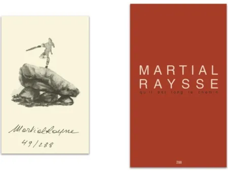 插图书 Raysse - L'art en écrit